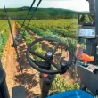 New Holland Braud Grape Harvester