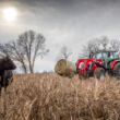 Massey Ferguson MF 6S.145