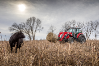 Massey Ferguson MF 6S.145