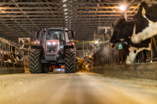 Massey Ferguson MF 7S.155