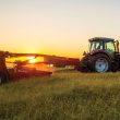 Massey Ferguson 1359