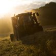 Massey Ferguson 2946