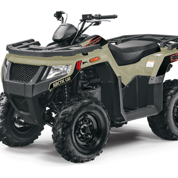 Arctic Cat Alterra 300