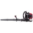 Troy-Bilt TB51BP Backpack Leaf Blower