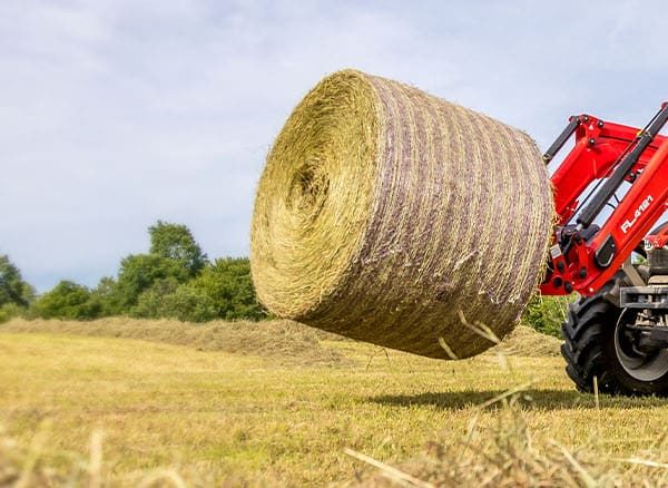 Massey Ferguson MF 5S.115