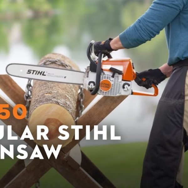 STIHL MS 250 Chainsaw