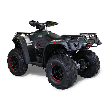 Bighorn 300 DX (4x4) ATV