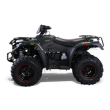 Bighorn 300 DX (4x4) ATV