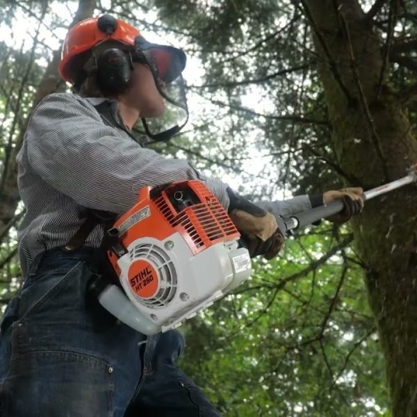 STIHL HT 250